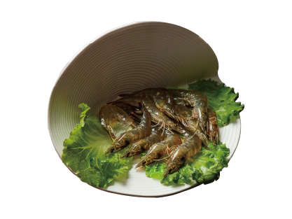 左圖右文